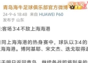 杭州绿城队逼平上海申花队，保持不败势头的简单介绍