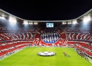 Rookie新星持续失利表现突出，加拿大队前途光明！比赛高潮迭起